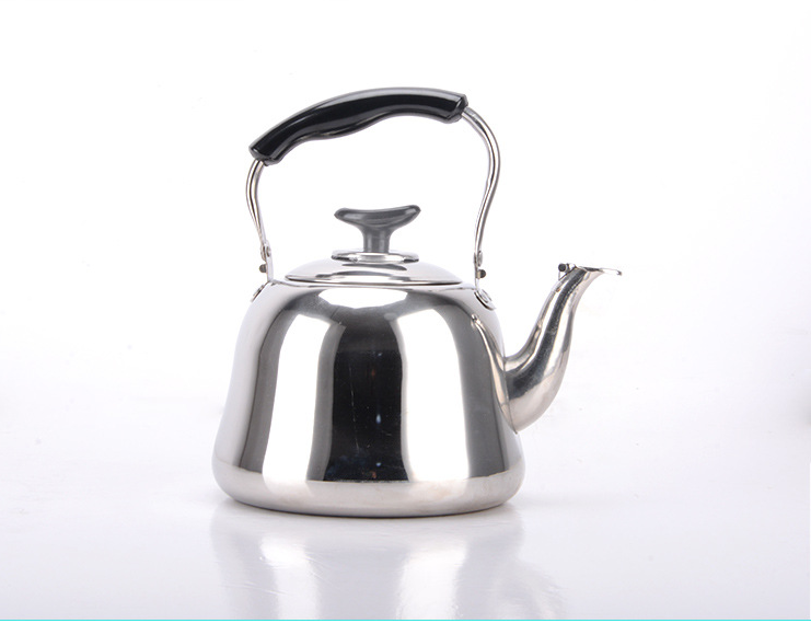 Stainless Steel Teapot and Kettle