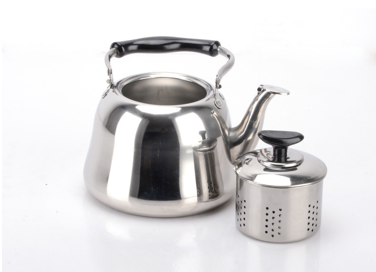 Stainless Steel Teapot and Kettle